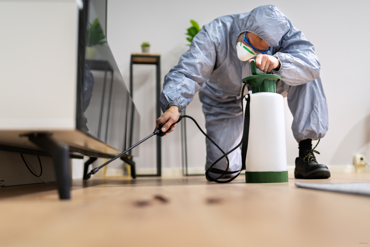 Scientific Guide to Exterminators in the Greater Toronto Area: Toronto, Vaughan & Barrie